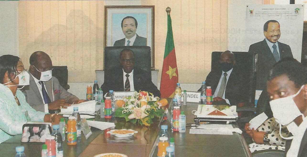 Protection de la biodiversité : Cameroun, le combat continue!